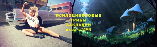 молекула духа Аркадак