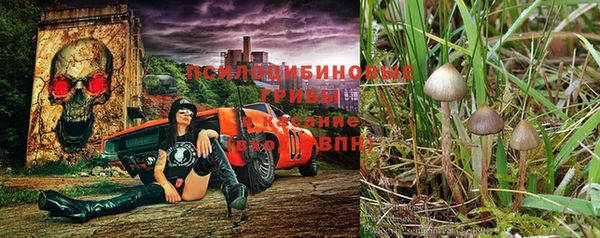 кокс Арсеньев