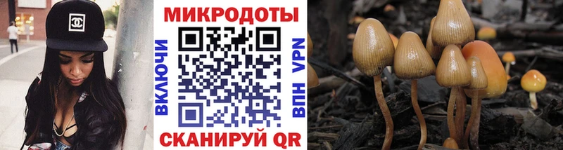 Купить где  Короча  Галлюциногенные грибы прущие грибы 